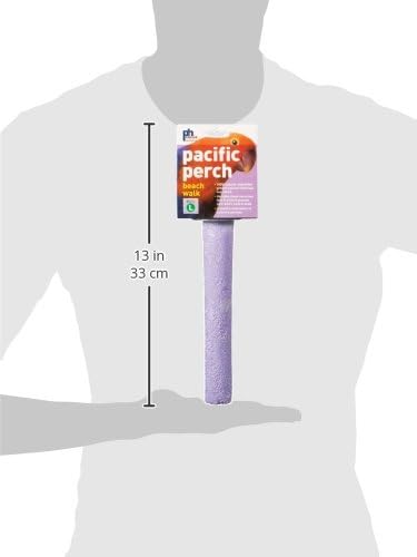 Prevue Pet Products Pacific Perch Beach Walk Large | Natural Seashell Mineral Bird Perch for Cage Accessory, Foot Exercise & Beak Grooming