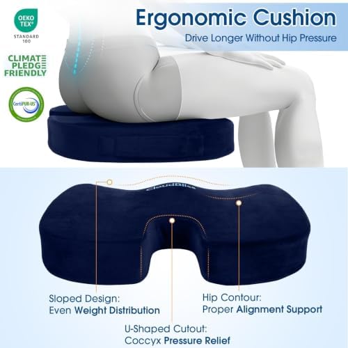 CloudBliss Ergonomic Seat Cushion & Lumbar Support Pillow Set, Blue, Large