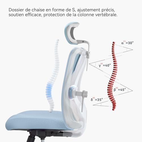 SIHOO M18 Ergonomic Office Chair, Computer Desk Chair with Adjustable Headrest and Lumbar Support, High Back Executive Swivel Chair for Home Office (Light Blue)
