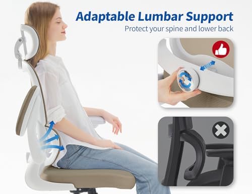 TRALT Ergonomic Office Chair Desk Chair with Adjustable Lumbar Support