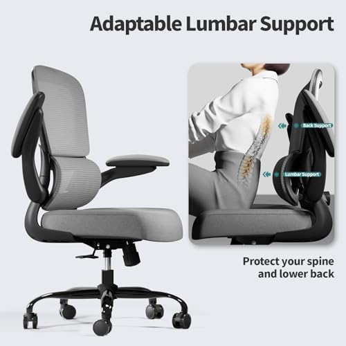 TRALT Office Chair - Ergonomic Desk Chair with Adjustable Lumbar Support, Mesh Computer Chair, Executive Chair for Home Office Comfortable Lumbar Support (1, Fog Gray)