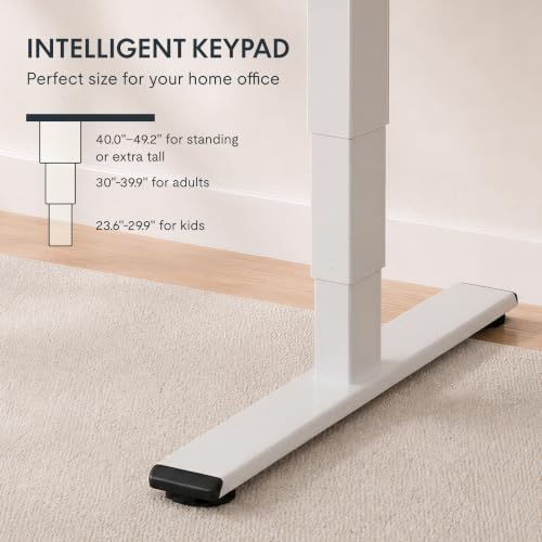 FLEXISPOT E6 Solid Wood Dual Motor 3-Stage Electric Standing Desk, 55 x 28