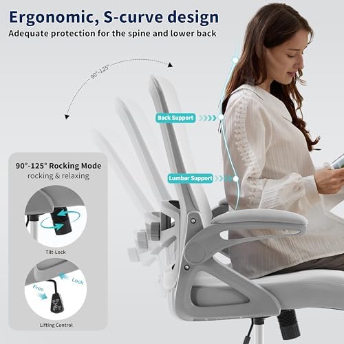 Ergonomic Office Chair Desk Chair with Adjustable Lumbar Support
