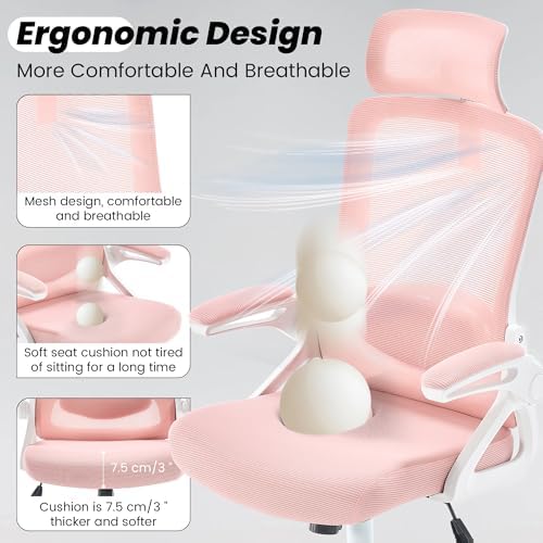 Fizzin Office Chair Mesh Computer Chairs with Adjustable Lumbar Support