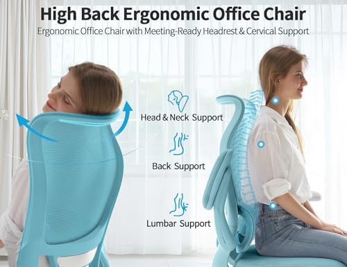 TRALT Office Chair Ergonomic Desk Chair - Gaming Chair with Lumbar Support