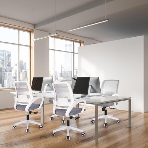 NEO CHAIR Home Office Desk Chair Ergonomic Mesh with Lumbar Support, Grey