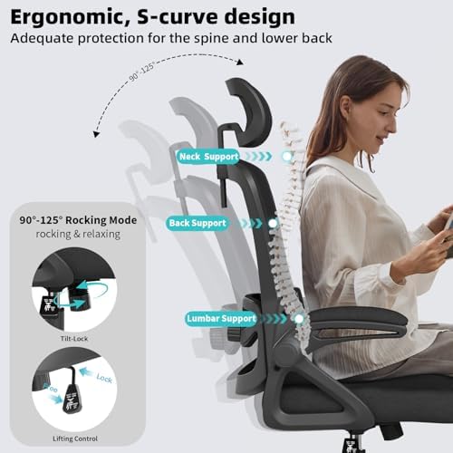 Ergonomic Office Chair Desk Chair with Adjustable Lumbar Support