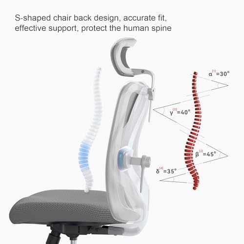 SIHOO M18 Ergonomic Office Chair, Mesh Back Desk Chair with Headrest