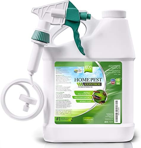 Pest Control Spray for Home, Insect Killer for Ants and Roaches - 1 Gallon