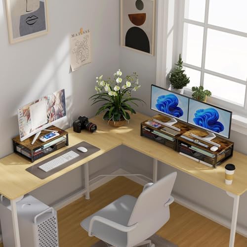 gianotter Computer Monitor Stand Riser with Drawer