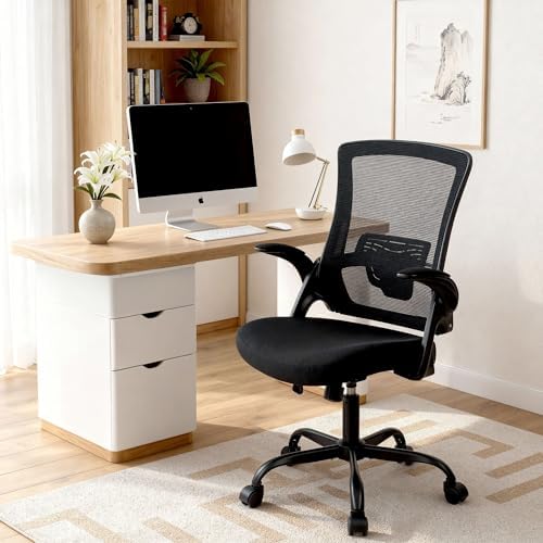 NEO CHAIR Office Desk Mesh Chair with Adjustable Ergonomic Lumbar, Black