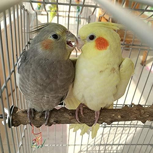 Wood Bird Perch Stand, Natural Paw Beak Grinding Stick (7.86") | Natural pepper wood, trims beak & nails, massage feet, for parakeets/cockatiels/conures/lovebirds/budgies, easy screw install