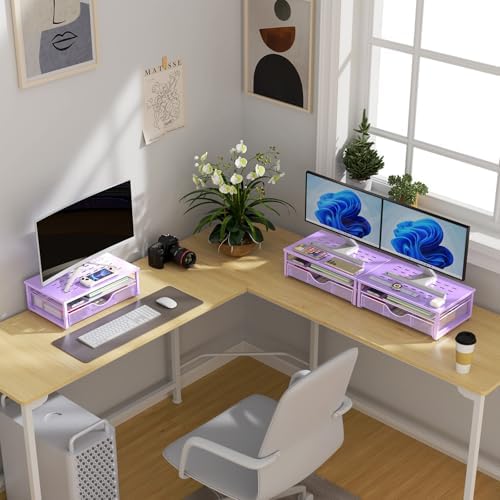 gianotter Computer Monitor Stand Riser with Drawer