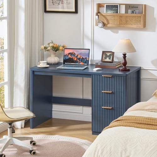 LEYAOYAO Office Desk 48" with 3 Drawers Storage File Cabinet