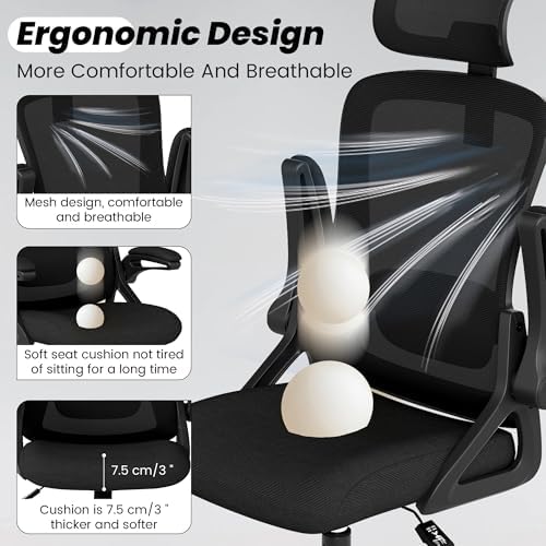 Fizzin Office Chair Mesh Computer Chairs with Adjustable Lumbar Support