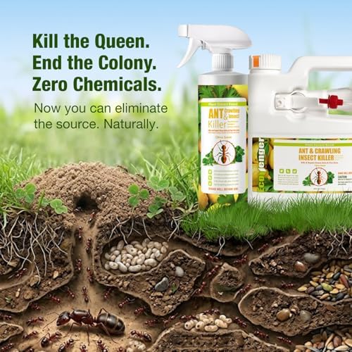 EcoVenger® Ant Killer & Nest Treatment (32 OZ), Fast Kills House Ants, Fire Ants, Lasting Repellency, Safe for Children & Pets