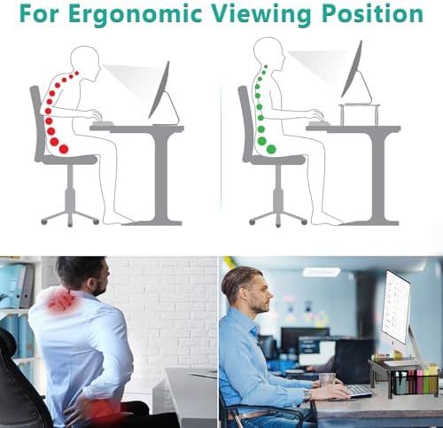WALI Computer Monitor Stand with Storage and Pen Holder