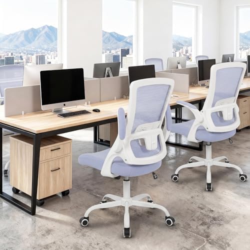 NEO CHAIR Office Desk Mesh Chair with Adjustable Ergonomic Lumbar, Purple
