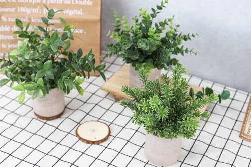 Der Rose 3 Pack Fake Plants Mini Faux Plants for Shelf Classroom Decor