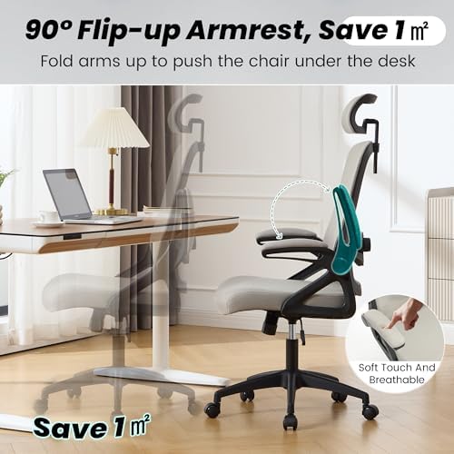 Fizzin Office Chair Mesh Computer Chairs with Adjustable Lumbar Support
