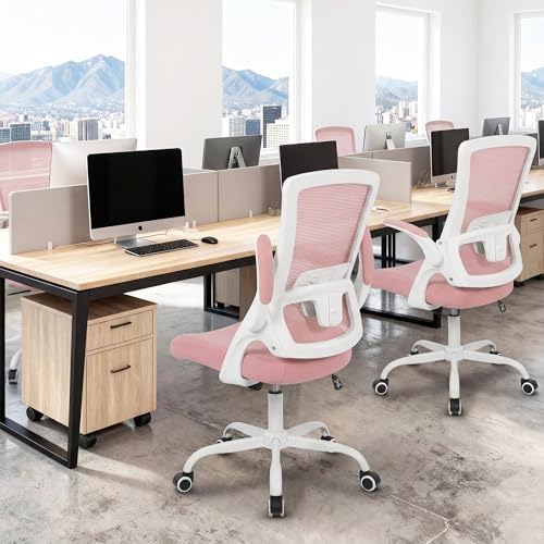 NEO CHAIR Office Desk Mesh Chair with Adjustable Ergonomic Lumbar, Pink