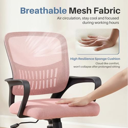 DUMOS Home Office Chair, Ergonomic Lumbar Support Desk Chair