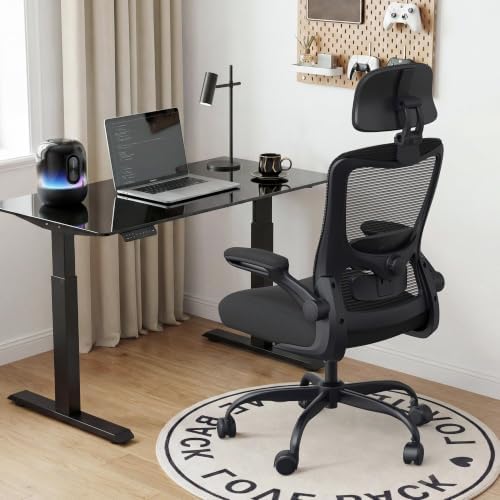 Ergonomic Office Chair for Long Hours, Adjustable Padded Lumbar Support for Lower Back Relief, 330 lb Capacity, Comfortable Computer Desk Chair for Home Office, Work & Study