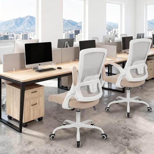 NEO CHAIR Office Desk Mesh Chair with Adjustable Ergonomic Lumbar, Beige