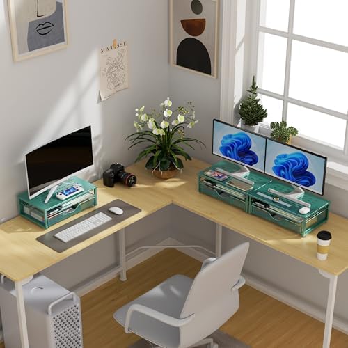 gianotter Computer Monitor Stand Riser with Drawer