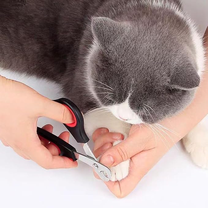 Pet Nail Clippers for Small Animals, Stainless Steel Cat Nail Trimmers with Non-Slip Handle, Safe & Sharp Claw Cutter for Puppies, Cats, Rabbits and Ferrets | Featuring Non-Slip Handle, Safe & Sharp Claw Cutter for Puppies, Cats, Rabbits and Ferrets