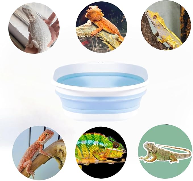 Bearded Dragon Bathtub with Brush and Towel Lizard Gecko Reptile Bath Tub | Foldable Bearded Dragon Swimming Pool , Small Animal Bathtub