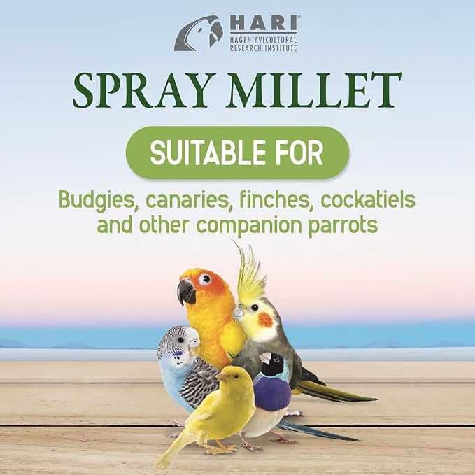 Living World – Millet Spray for Birds,7 Oz – Premium Treat for Budgies,Canaries,Finches,Cockatiels and Other Pet Birds,(Pack of 2)
