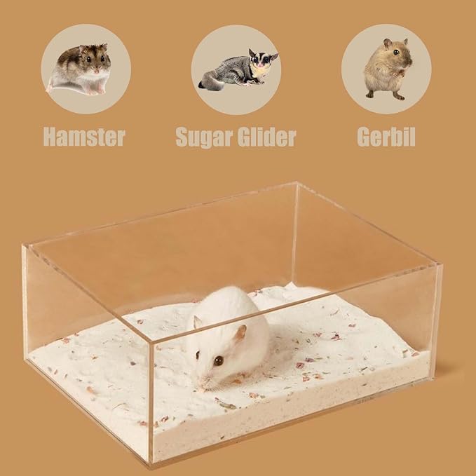 Transparent Hamster Sand Bath Box for Hamster Cage Accessories, Digging Sand Container with Climbing Ladder, Large Sandbox for Hamsters Dust Bath and Play Sand (M, Rectangle)