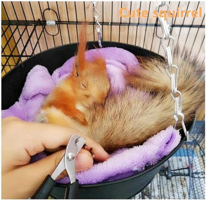 Pet Nail Clippers for Small Animals - Best Cat Nail Clippers & Claw Trimmer for Home Grooming Kit - Professional Grooming Tool for Tiny Dog Cat Bunny Rabbit Bird Puppy Kitten Ferret