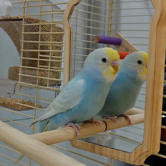 Bird Mirror with Wooden Perch, 15cm Parakeet Toys for Cage | Wooden Standing Bird Mirror Toy Chewing Perch with Reflective Mirror for Cockatiel, Lovebird, Parakeet, Bird Cage Accessories
