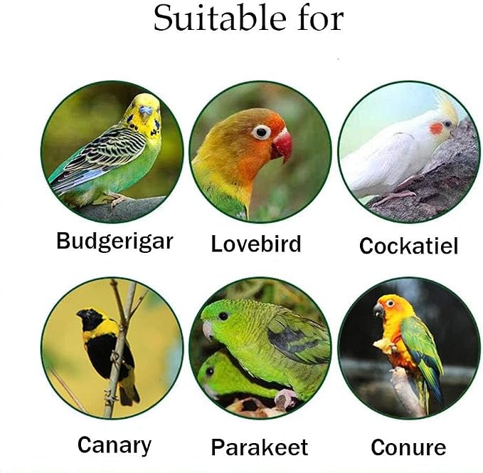 4PCS 5.5×5.9In & 2.5-3.7In Nature Bird Perch Stand Wooden Platforms Set | Rectangular & Round Combined bird platform, Cockatiel Cage Accessories, Grinding Beaks Claw Bird Toy for Parakeet Budgie