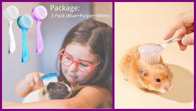 3PC Small Animal Bath Brush with Lid Soft Cleansing Brush Massage Combs for Hedgehog Guinea Pig Rabbit Chinchilla Ferret Small Animal Grooming Tool Cleaning Supplies
