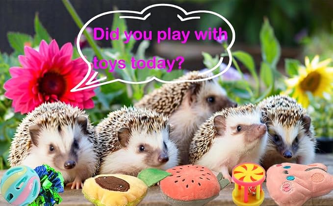 10 pcs Cute Hedgehog Enrichment Toys Hedgehog Supplies Cage Accessories Small Animal Ball Bell Pet Interactive Exercise Ball Entertainment