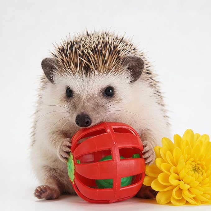 Dig-Box Tray for Hedgehog Cage with Ball Toy, Hedgehog Enrichment Kit Toy, Hedgehogs Accessories, for Hamster, Cat, Small Animal Accessories (White, 8.4 * 5.9 * 1.6in)