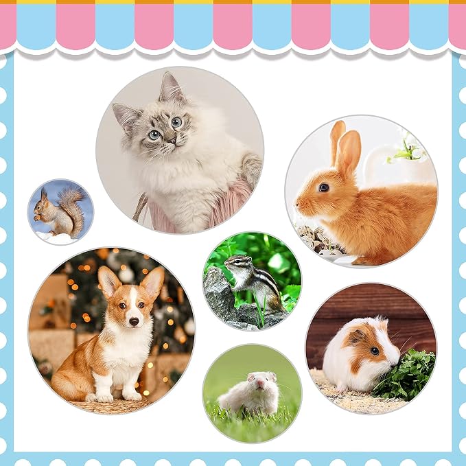 Rabbit Grooming Kit, Rabbit Brush for Shedding with Bunny Nail Clipper, Rabbit Nail Trimmers with Pet Combs for Hamster Guinea Pig Ferret by KALAMANDA