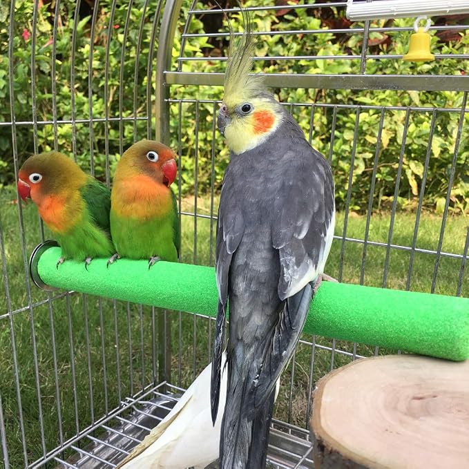 Bird Perch Rough-surfaced Nature Wood Stand Toy Branch for Parrots | Natural Quartz Sand Perch for Grinding Nails Trimming Macaw Congo African Gray Amazon Cockatoo Easy Install Cage Accessories