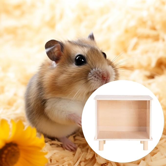 Hamster Digging Box DIY Hamster Cage Decor Burrow Box Toy with Acrylic Window for Activity Suitable for Hamster Enclosure and, M