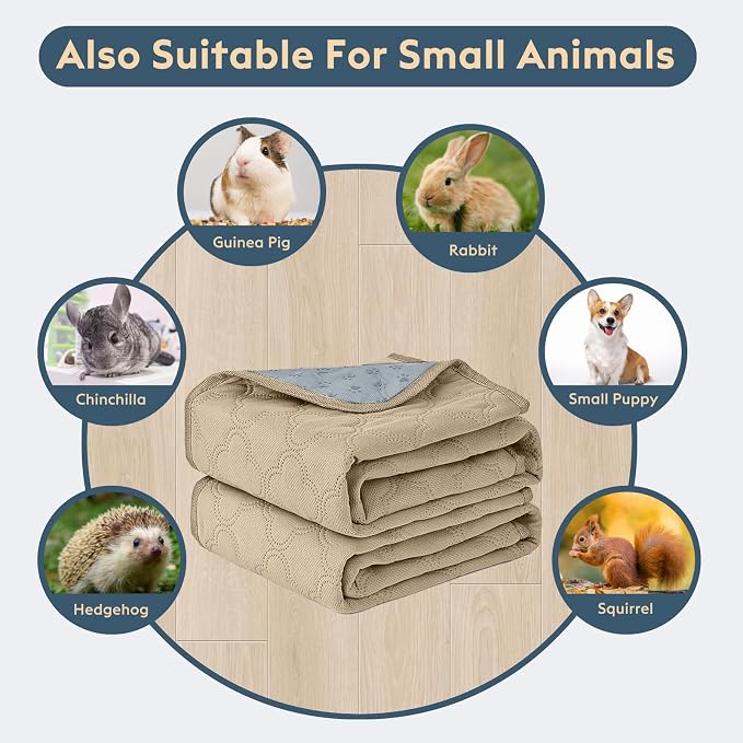 FunFurry Washable Pee Pads for Dogs - 2 Pack Reusable Pee Pads,Waterproof Puppy Pads,Pet Training Pads,Super Absorbent with Dog Paw Shape Non-Slip Backing (Cream, 31" X 36" - 2 Pack)