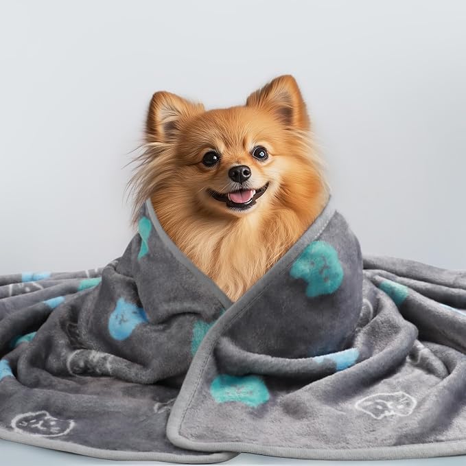 Luciphia 3 Pack Cute Cat Blankets Cozy Small Throw for Pet Puppy,23"x16" | Fuzzy Flannel Small Pet Blanket Washable, Cute Cat Print for Crate Car Bed. Puppy Essential,Cat Stuff Gifts,Small