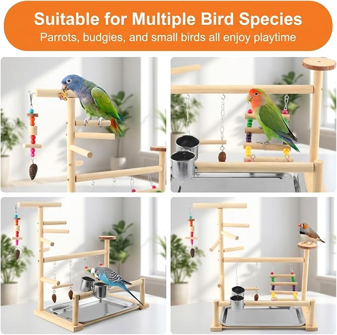 Bird Playground, Natural Pine Wood Parrot Stand with Swing, Climbing Ladder, Chew Toy and Perches, Bird Play Stand for Parakeets, Budgies, Cockatiels and Small Birds