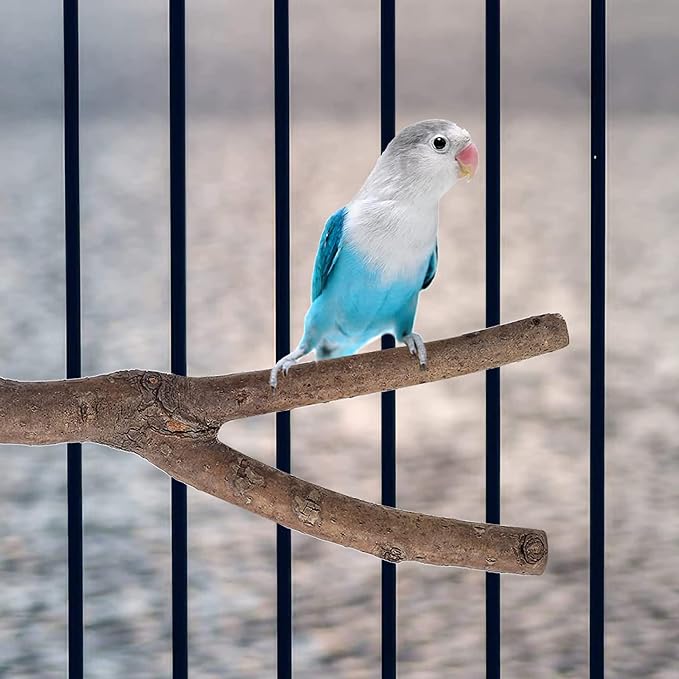 10 PCS Natural Wood Bird Perch Stand, Bird Parrot Perch Stand Set, Wooden Parrot Perch Stand Perch Platform Cage Accessories for Parrotlets Cockatiels Budgies Parakeets