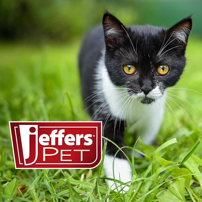 Jeffers Pet Ear Cleaning Solution for Dogs, Cats & Puppies, 8 oz – Aloe Vera Ear Wash for Wax & Odor Removal, Itchy Ear Comfort, Routine Ear Hygiene, Home Grooming, Travel Friendly Pet Care