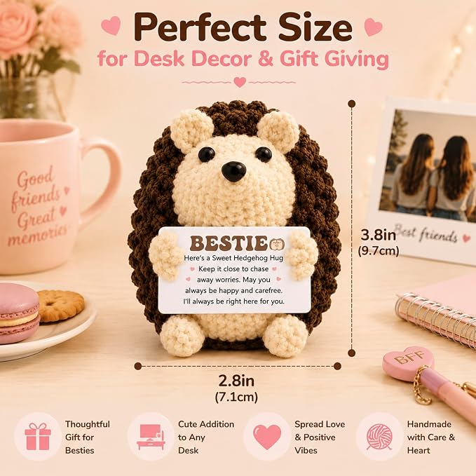 Mini Funny Hedgehog Best Friend Friendship Gifts for Women Men | Thank You Presents for Best Friend Sister Bestie,Cute Small Handmade Graduation Birthday Office Desk Decor
