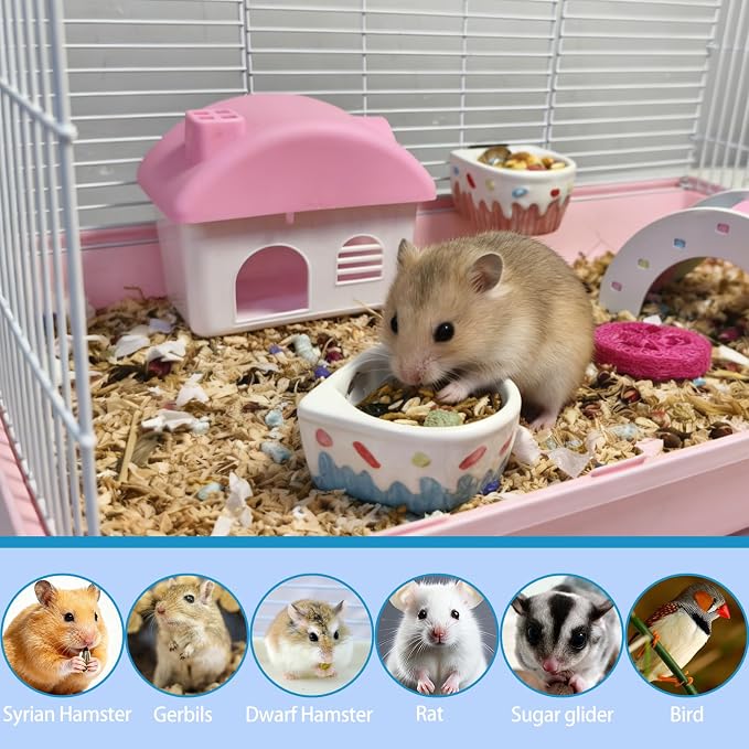 2 PCS Hamster Food Bowl Ceramic Hamster Food Water Dish Feeder | Cage Accessories,for Mice Hedgehog Gerbil,Hamster Water Bowl,Hamster Food Bowl,Hamster Feeder