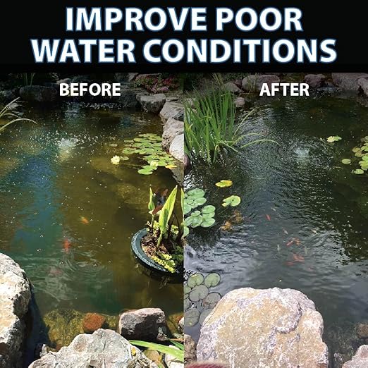 CrystalClear PondShock Ball, Natural Enzymes & Live Bacteria, Freshwater Clarifier Shock Treatment, Muck & Sludge Remover for Small Pond & Outdoor Water Garden Ponds, Koi Fish & Aquatic Plants Safe